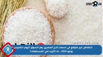 انخفاض غير متوقع في أسعار الأرز المصري يهز السوق اليوم الخميس 31 يوليو 2025.. ما تأثيره على المستهلك؟